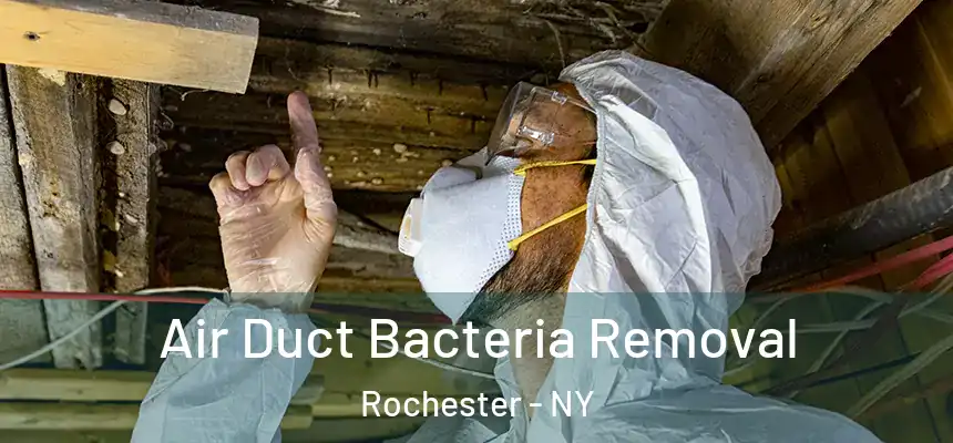  Air Duct Bacteria Removal Rochester - NY