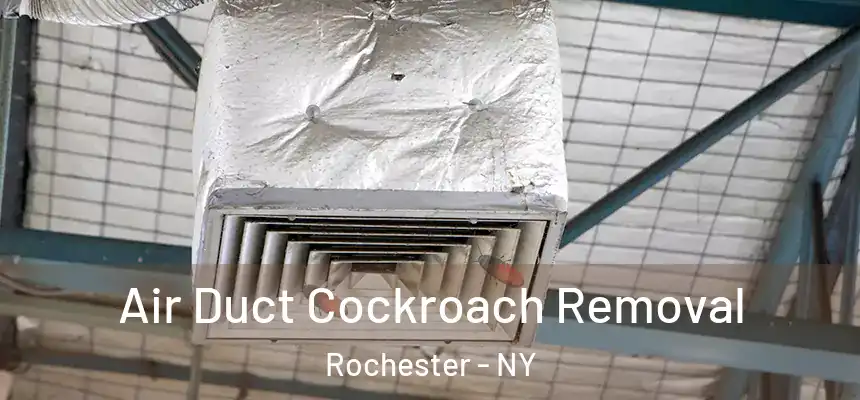  Air Duct Cockroach Removal Rochester - NY