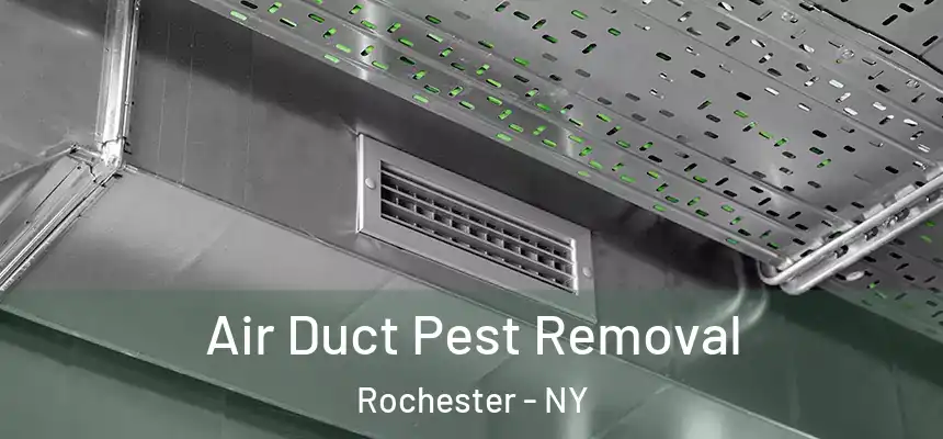  Air Duct Pest Removal Rochester - NY