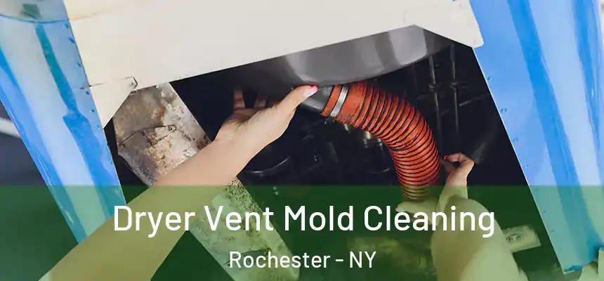  Dryer Vent Mold Cleaning Rochester - NY