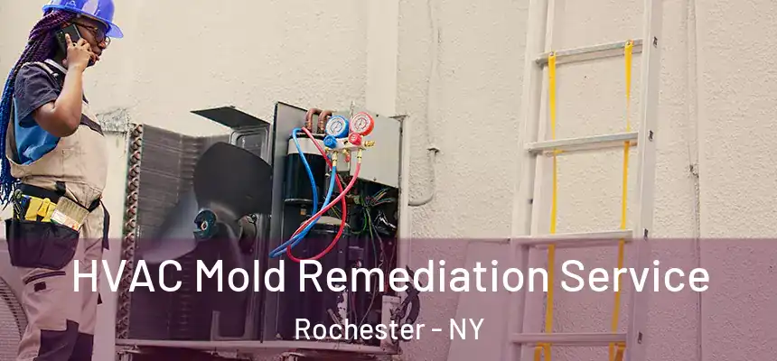  HVAC Mold Remediation Service Rochester - NY