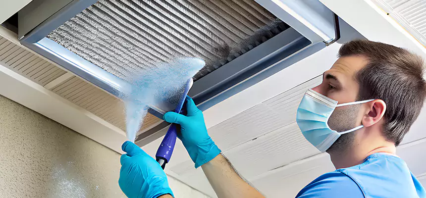Proactive Dryer Vent & Auxiliary Duct Pollen Cleanup in Rochester, NY
