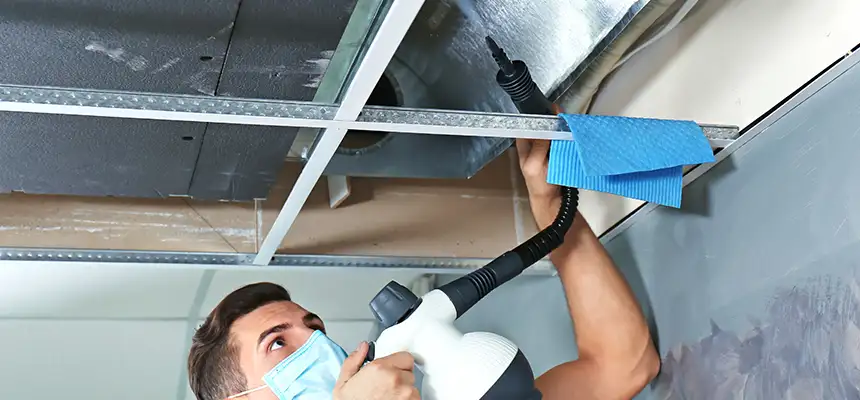 Our Air Duct Rodent Removal Services in Rochester, NY