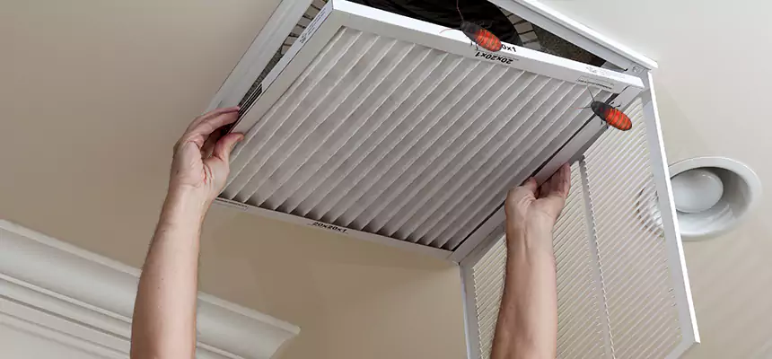 Our Insect Removal from Air Ducts Services in Rochester, NY