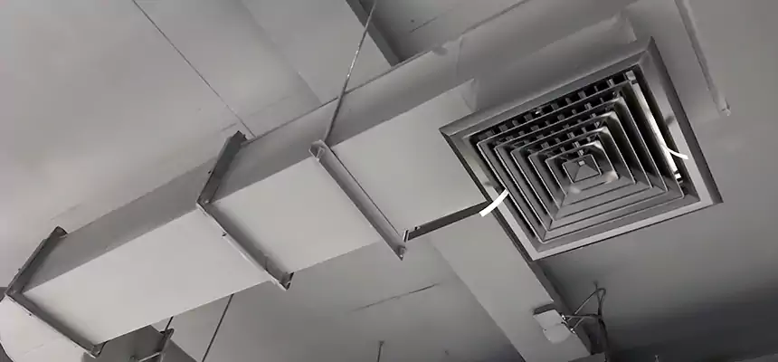 Our Pest Removal From Ducts Services in Rochester, NY