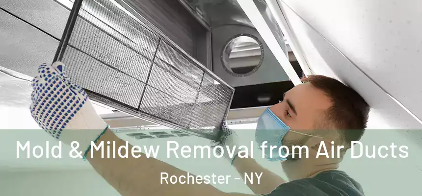  Mold & Mildew Removal from Air Ducts Rochester - NY