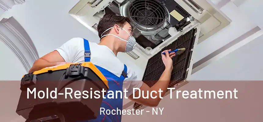 Mold-Resistant Duct Treatment Rochester - NY