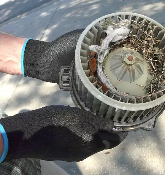 About Air Duct Rat Removal in Rochester, NY