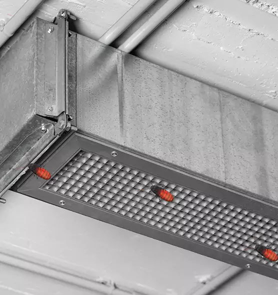 Affordable Insect Removal from Air Ducts in Rochester, NY