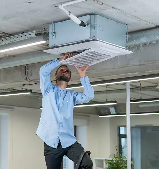 Advanced Rodent Droppings In Vents in Rochester, NY