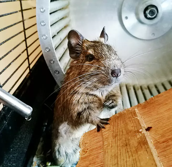 Why Homeowners & Businesses Trust Us Rochester, NY