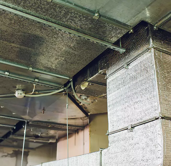 Why Homeowners & Businesses Trust Us in Rochester, NY?